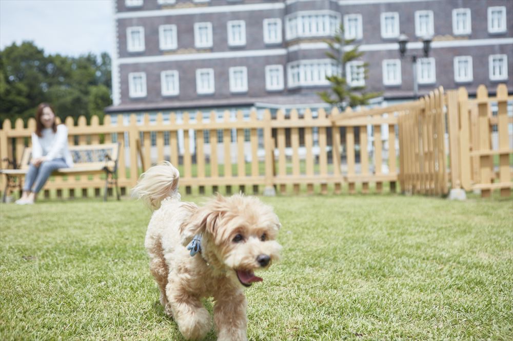 Wellness Forest NASU_Plenty of facilities are also here for pets. Have fun with your four-legged friend at the dog run.