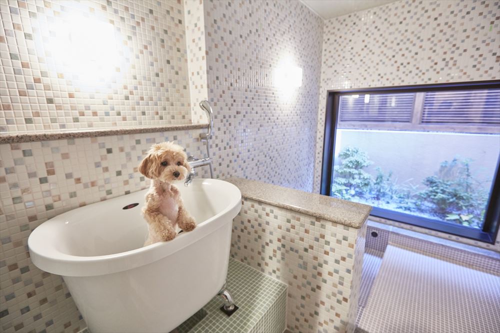 Le Chien Kyukaruizawa_Pet Bath. A luxurious private bathing area exclusively for dogs.