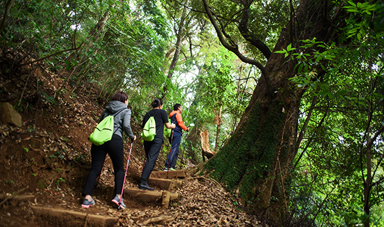 ATAMI SEKAIE_Nature & Health Walk. Walking to Izusan Shrine using Nordic poles is highly effective to build strength, increase stamina, and lose weight.