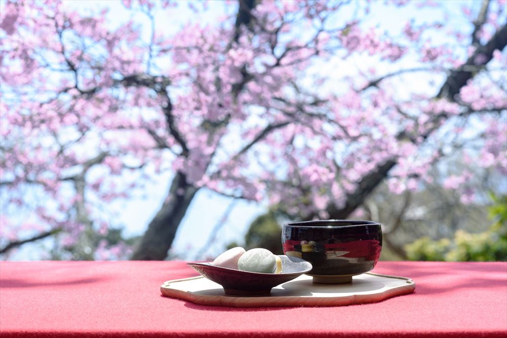 GLAMDAY VILLA UMITO MORITO KAZE_Flowers of all four seasons bloom throughout the vast grounds of around 7,700 sq. meters. All of this is here to enjoy anytime you feel like a stroll through the ever changing seasonal beauty of the garden.