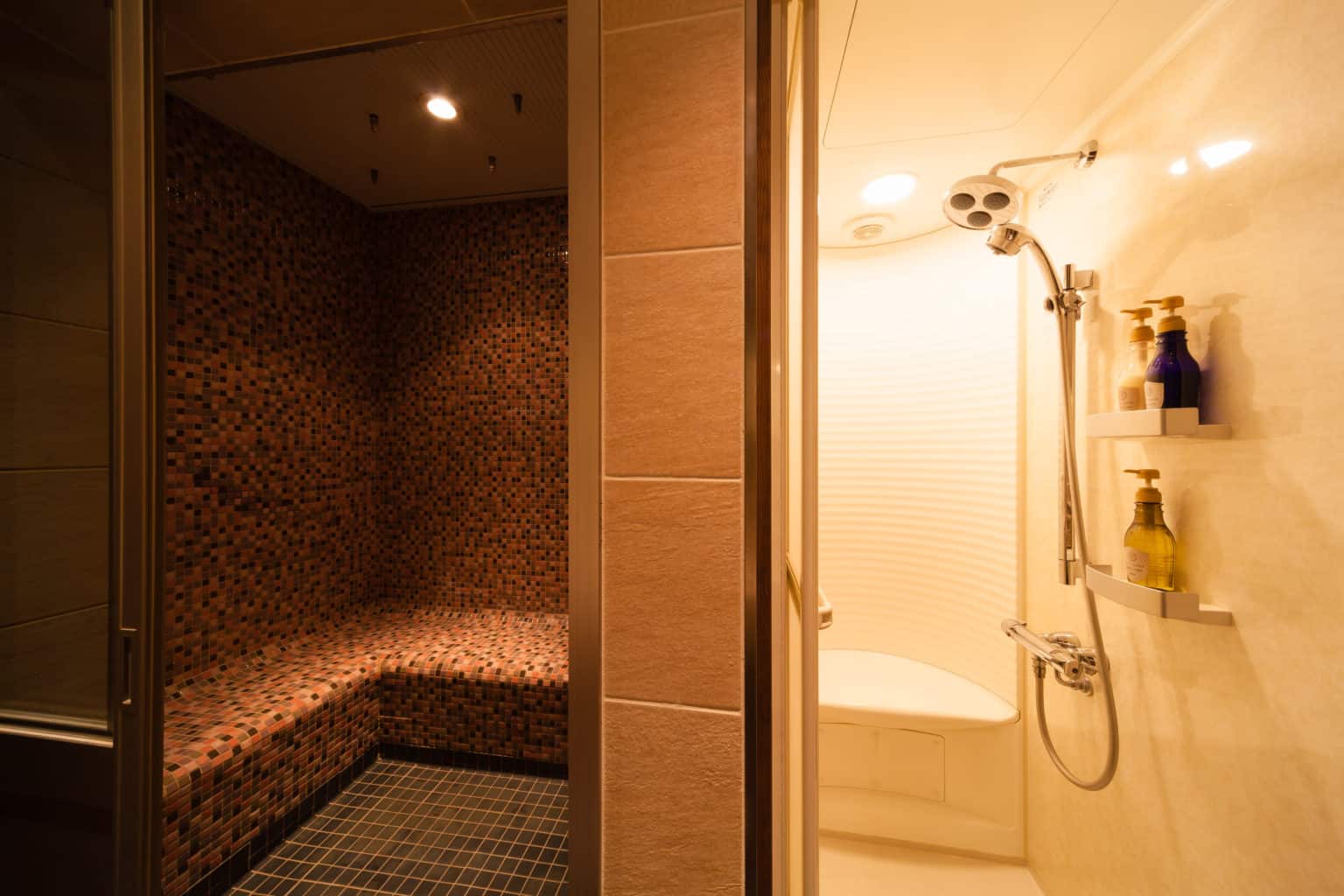 Phoenix Hotel_Sauna＆Shower room