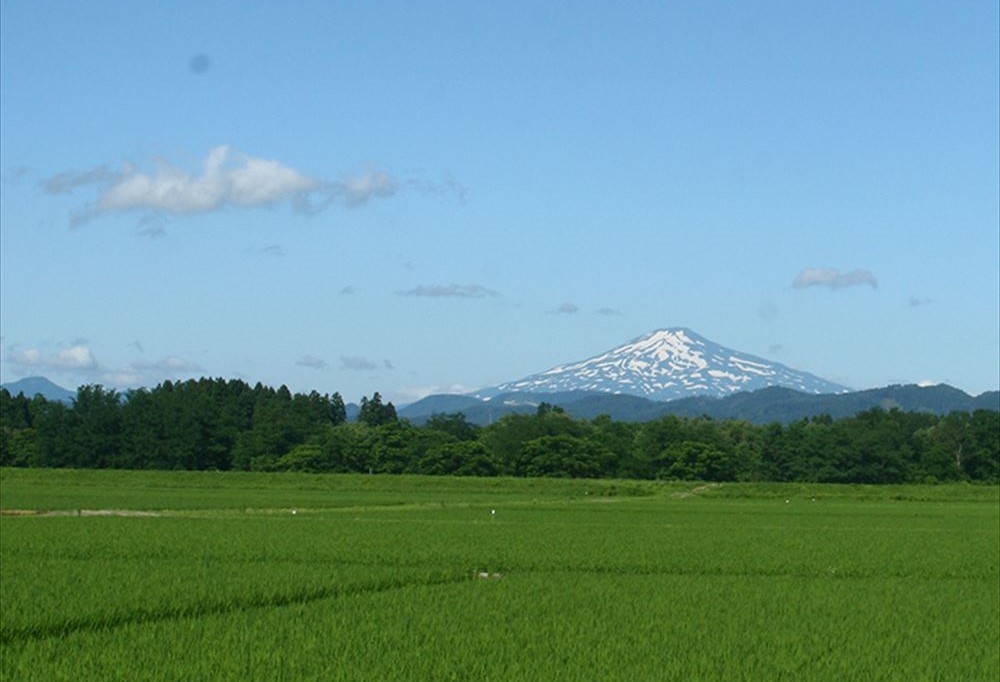 Yuzawa Royal Hotel_View of Mt. Chokai