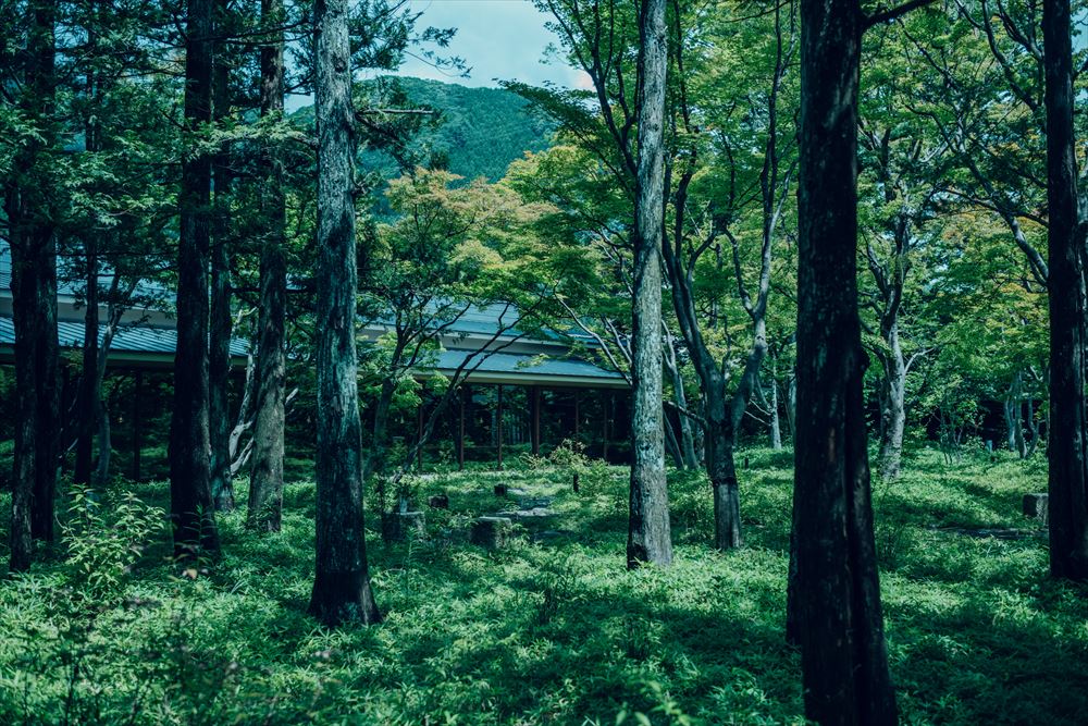 星野集团 界 鬼怒川_庭院