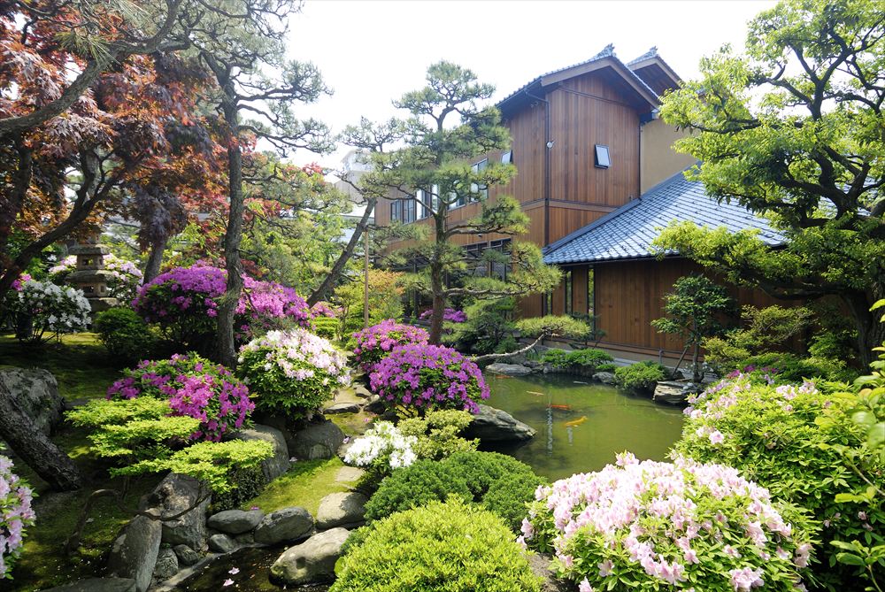 温馨的传统旅馆 灰屋_庭院