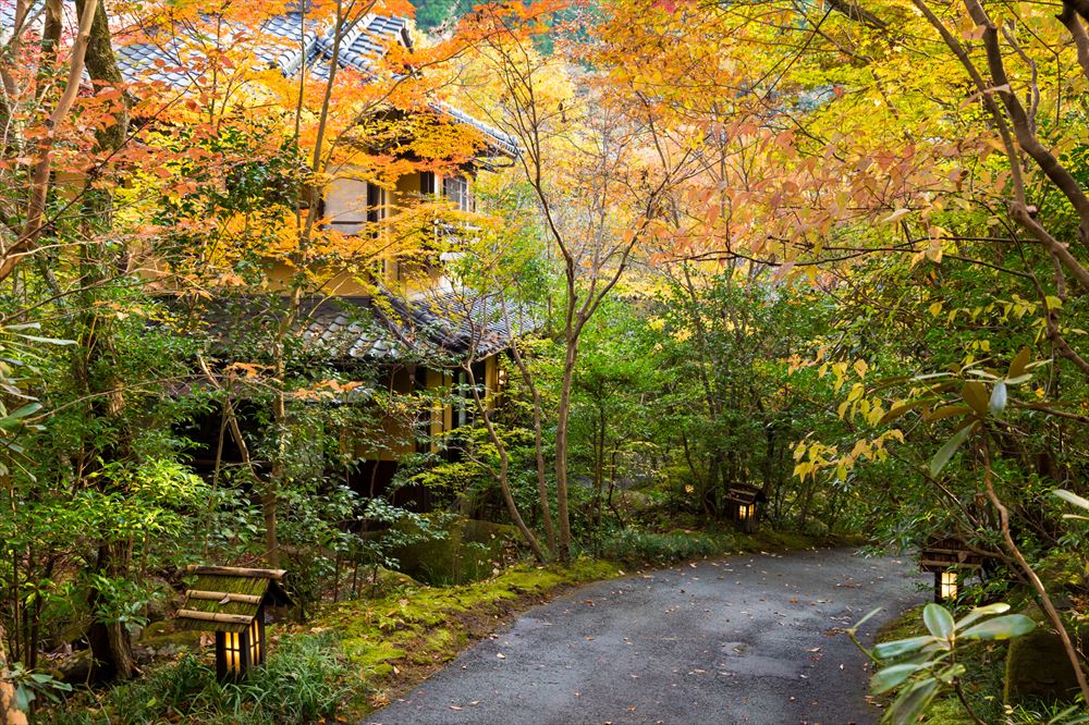 旅館 山河_從停車場到玄關的小徑。紅葉從10月下旬到11月中旬正值最佳觀賞期。