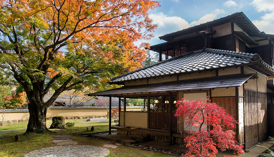 箱根・翠松園_餐廳「紅葉」，樹齡300年的楓樹迎面而來。建於大正時代的別墅「三井 翠松園」，在此以料亭之姿重生。可在此享用晚餐、早餐，或當成酒吧使用。