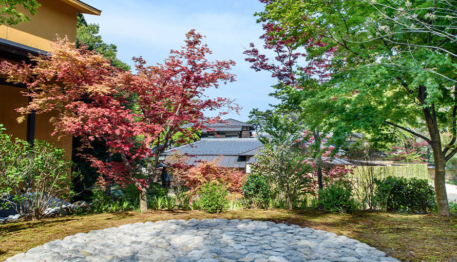 箱根・翠松園_敷地の中には季節によって表情を変える木々や花々が植えられていて、 春の若葉、夏の木陰、秋の紅葉、冬の雪景色が庭園を彩ります。